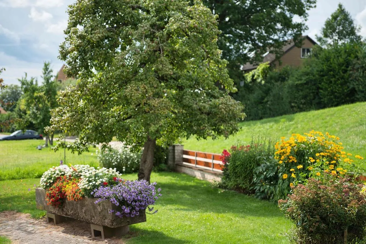 Ferienwohnung Werner Mit Terrasse Haundorf